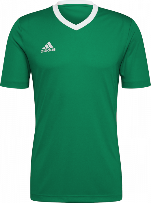 Adidas - Entrada 22 Jersey - T Green & bianco