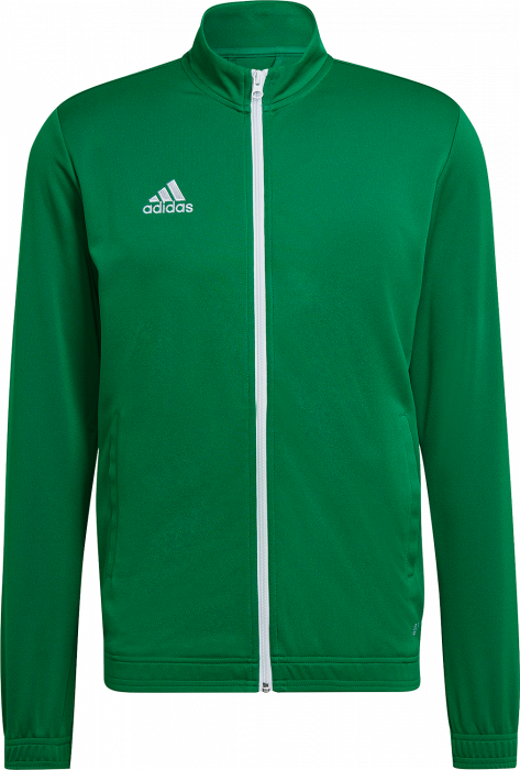 Adidas - Entrada 22 Training Jacket - T Green & blanco