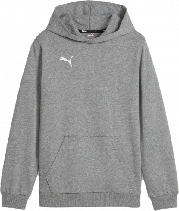 Puma - Teamgoal Casual Hoodie Kids - Grey Heather & blanc